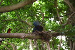 DSC_9073.JPG